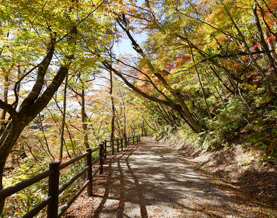 鳴子峡遊歩道