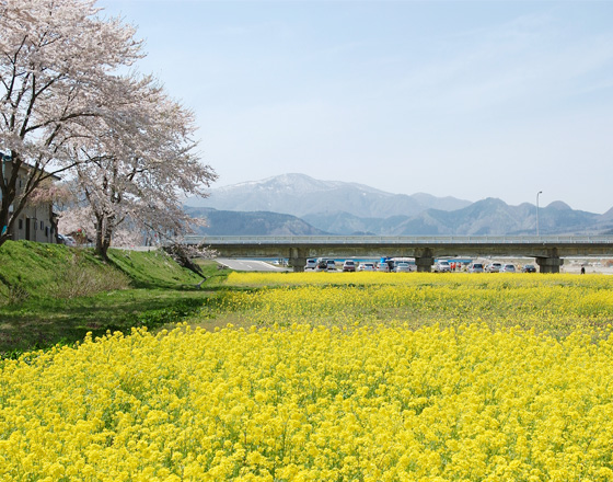 川渡大橋